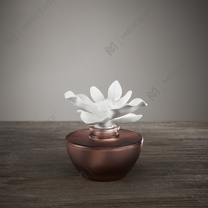 White Flower Mini Parfume Aroma Reed Diffuser Oil, duft Thailand Reed Diffusers Gavesæt