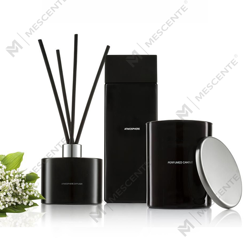 Private Label White Frosted Flaske Aromaterapi Reed Diffuser Olier Med Æske A29148