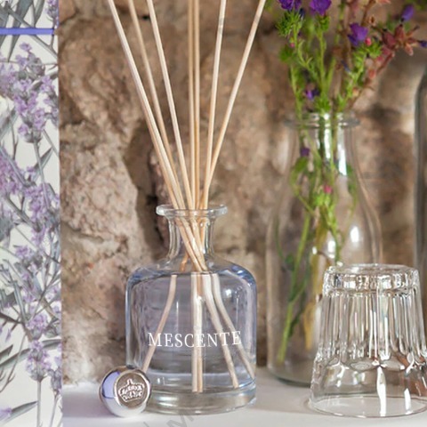 Forskellen mellem Aroma Reed Diffuser og luftfugter